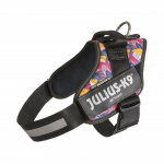Julius - K9 IDC Powerharness Leaf2 - k&otilde;rgekvaliteediline rakmed koertele huvitava disainiga