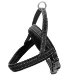 Hurtta Casual Eco Rakmed Raven - Norra stiilis rakmed koertele, valmistatud taaskasutatud materjalidest - 30 - 35