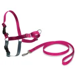 PetSafe Easy Walk Rakmed Vaarika - koera rakmete ja rihma komplekt