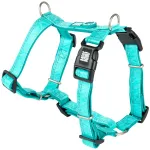 Max&Molly Comfort Harness Matrix 2.0 - pehme rakmed koertele, QR-identifikaatoriga ja reguleeritava sobivusega