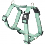 Max&Molly Comfort Harness Matrix 2.0 Jade - pehme rakmed koertele, QR-identifikaatoriga ja reguleeritava sobivusega