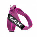 Julius - K9 IDC Color&Gray rihmtraksid roosa - rihmtraksid, koeratraksid, fuksia