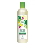 Pet Silk Vegan Aloe Vera Kaerajahu &Scaron;ampoon - niisutav ja rahustav &scaron;ampoon koertele ja kassidele, aloe vera ja kaerajahuga, kontsentraat 1:16