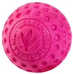 Kiwi Walker Let's Play Ball - koerapall