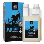 Pokusa ChondroLine Junior HA - vedel toidulisand, mis toetab kutsikate liigeste funktsiooni, sisaldab h&uuml;aluroonhapet