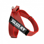 Julius - K9 IDC V&auml;rviline & Hall V&ouml;&ouml;traks - koera traksid, v&ouml;&ouml;traksid