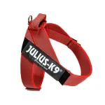 Julius - K9 IDC V&auml;rviline & Hall V&ouml;&ouml;traks - koera traksid, v&ouml;&ouml;traksid