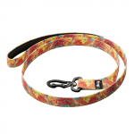 Julius - K9 MoreColor rihm Crazy - Hullumeelse mustriga rihm koertele