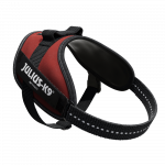 Julius - K9 IDC Powerharness Bordeaux - Pruun - k&otilde;rgekvaliteediline koerarakmed, Bordeaux v&auml;rv