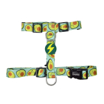 Dashi Avokaado Seljarakmed - reguleeritavad kaitserakmed koertele, avokaado mustriga