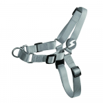 Dashi Solid Front Rakmed Hall - Norra stiilis rakmed koertele, t&otilde;mbamise vastane