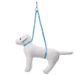 Groom Professional Dual Noose - kahekordne hooldusrihm, koeraprintidega