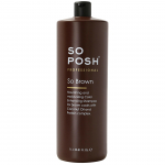 So Posh So Shampoo - professionaalne &scaron;ampoon, mis parandab karvkatte v&auml;rvi