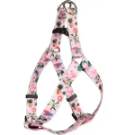 Flamingo Rakmed Step&Go Sera - step-in rakmed koertele, nailon, flamingod, lilled