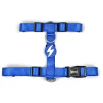 Dashi Solid Back Rakmed - reguleeritav kaitserakmed koertele