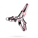 Dashi Triibud Roosa & Must Eesmine Rakmed - Norra rakmed koertele, t&otilde;mbamisvastane, triibuline