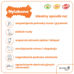 Nylabone Extreme Peekoni & Maap&auml;hkliv&otilde;i Seakoor - koerte n&auml;rimism&auml;nguasi, peekoni ja maap&auml;hkliv&otilde;i maitsega