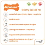 Nylabone Extreme Peekoni & Maap&auml;hkliv&otilde;i Seakoor - koerte n&auml;rimism&auml;nguasi, peekoni ja maap&auml;hkliv&otilde;i maitsega
