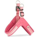 Max&Molly Q - Fit Rakmed Matrix 2.0 Rose - kerge koerte rakmed, QR-identifikaatoriga, pastellroosa