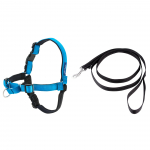 PetSafe Easy Walk Deluxe Rakmed Ocean - pehme rakmed ja jalutusrihm koertele, must