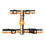 Dashi triibuline oranž ja must seljarakmed - reguleeritavad kaitserakmed koertele, rihmad