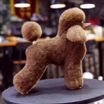 Hr. Jiang Puudli T&auml;iskeha Karv Lammas - vahetatav karv Toy Poodle'i groomingu mannekeenile