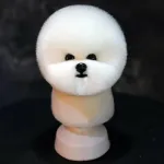Mr. Jiang Bichoni pea karv - vahetatav karv Bichoni hoolduspeale
