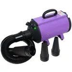 Blovi DoubleBlaster 2200W - laua f&ouml;&ouml;n reguleeritava &otilde;huvoolu ja kaheastmelise k&uuml;ttekehaga