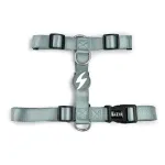Dashi Solid Back Rakmed Hall - reguleeritav kaitserakmed koertele