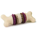 PetSafe Busy Buddy Bristle - n&auml;rimism&auml;nguasi maiustega koertele, luu hammaste puhastamiseks m&otilde;eldud v&auml;ljaulatuvate osadega