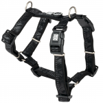 Max&Molly Comfort Harness Matrix 2.0 - pehme rakmed koertele, QR-identifikaatoriga ja reguleeritava sobivusega