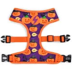 Dashi Pumpkin Neo Mesh Rakmed - t&otilde;mbamisvastane, p&ouml;&ouml;ratav koera rakmed Halloween'i k&otilde;rvitsa mustriga
