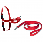 PetSafe Easy Walk Rakmed - rakmete ja jalutusrihma komplekt koertele