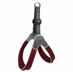 Coralpina Cinquetorri rakmed Vein - kerge v&otilde;rgust rakmed v&auml;ikestele ja keskmise suurusega koertele, kirsipunane