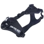 Julius K - 9 Mantrailing - j&auml;litusrakmed koertele