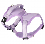 Max&Molly Sport Rakmed Matrix 2.0 Lavender - reguleeritav rakmed koertele, QR-identifikaatoriga, lilla