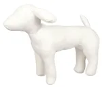 Chadog Mannekeen - koera mudel
