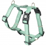 Max&Molly Comfort Harness Matrix 2.0 Jade - pehme rakmed koertele, QR-identifikaatoriga ja reguleeritava sobivusega