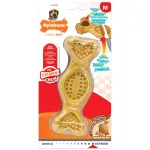 Nylabone Extreme T&auml;ida N&auml;rimism&auml;nguasi Maap&auml;hkliv&otilde;i - koera n&auml;rimism&auml;nguasi, maap&auml;hkliv&otilde;i maitsega, maiuste m&auml;&auml;rimiseks