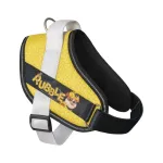 Julius - K9 Paw Patrol koerarakmed Rubble - koerarakmed, Paw Patrol