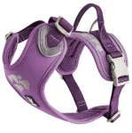 Hurtta Weekend Warrior rakmed Currant - rakmed aktiivsetele koertele - 100 - 120 cm