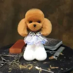 Mr. Jiangi Teddy pea karvad - asenduskarv Teddy hoolduspeale