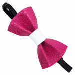 Recordi krae kikilips - elegantne kikilips koertele ja kassidele, reguleeritava &uuml;mberm&otilde;&otilde;duga, 10x5,5 cm