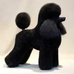 Hr. Jiang Puudli T&auml;iskeha Karv Lammas - vahetatav karv Toy Poodle'i groomingu mannekeenile