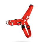 Dashi Solid Front Rakmed Punane - t&otilde;mbamisvastane Norra rakmed koertele, punane