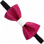 Recordi krae kikilips - elegantne kikilips koertele ja kassidele, reguleeritava &uuml;mberm&otilde;&otilde;duga, 10x5,5 cm