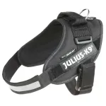 Julius - K9 IDC Power Rakmed Turvalukuga - rakmed koertele lisaturvalukuga