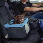 Kurgo Rover Booster Istme - koera autoiste