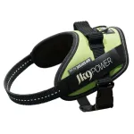 Julius - K9 IDC Powerharness Neon - k&otilde;rgekvaliteediline koerarakmed, neoon - Mini - Mini