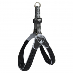 Coralpina Cinquetorri rakmed tume - kerge v&otilde;rgust rakmed v&auml;ikestele ja keskmise suurusega koertele